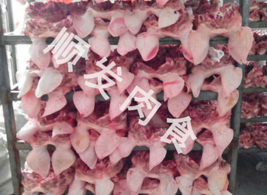 豬頭